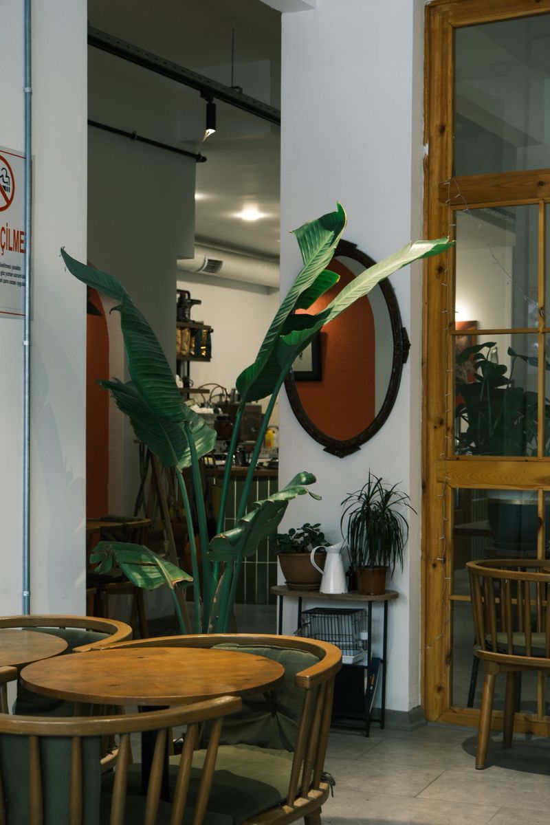 店内の一角