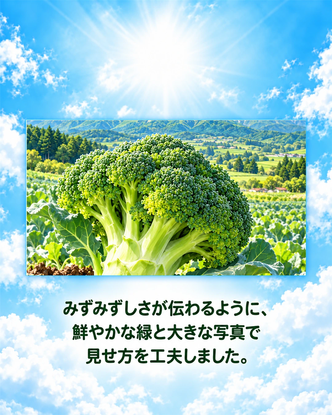 Instagram紹介画像 3枚目